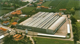 Azienda